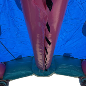 Aloha Splash Pool - Image 7